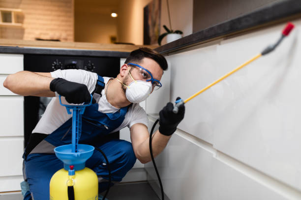 Best Cockroach Control Services  in , CA